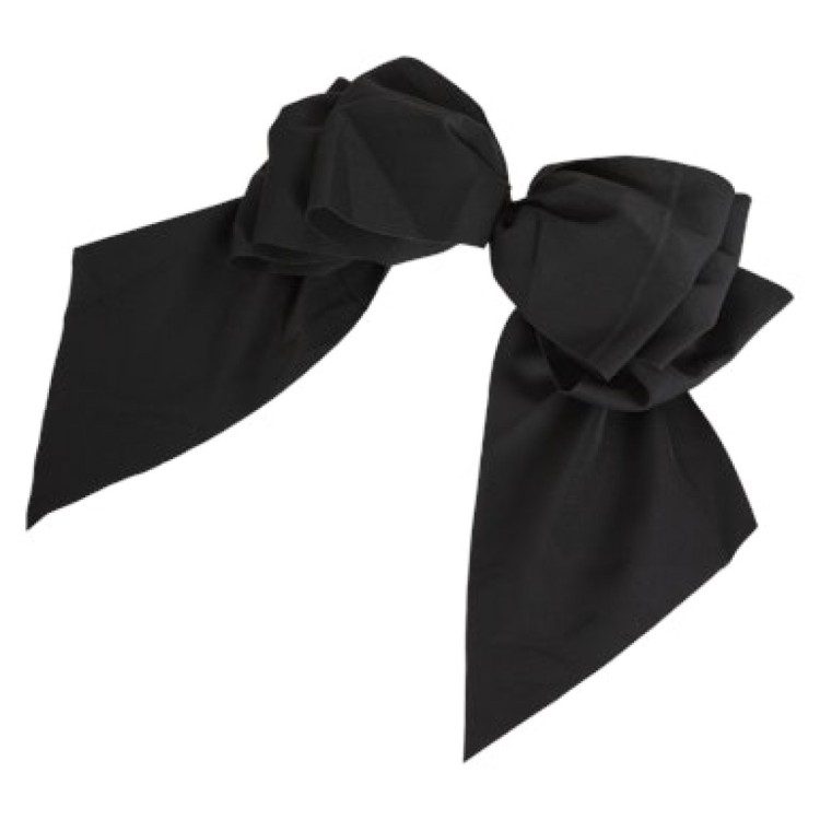 VIKADEN HAIRCLIP